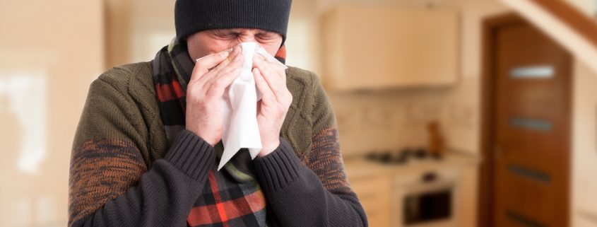 Stop Winter Allergens in Your Home